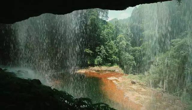 沪江开心词场